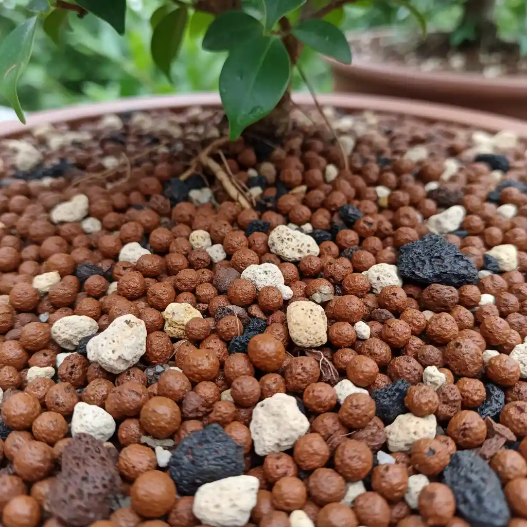 Close up of well-draining bonsai soil mix
