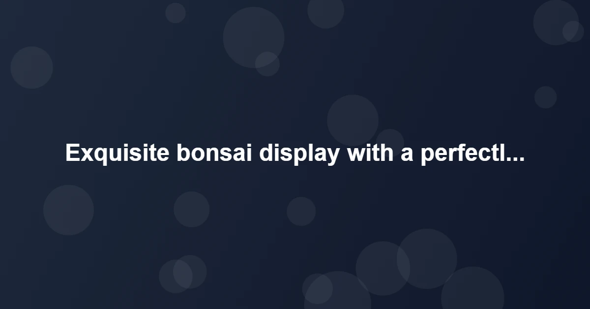 Advanced Bonsai Techniques - Exquisite bonsai dis