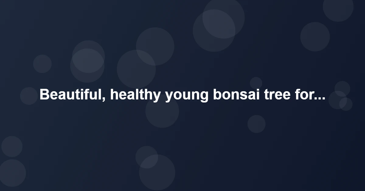 Choosing Your First Bonsai Tree & Starter Kit - Beautiful, healthy y