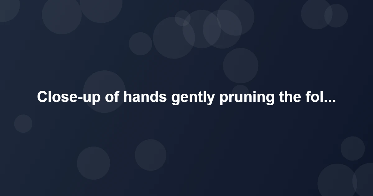 Advanced Species-Specific Bonsai Care - Hands gently pruning