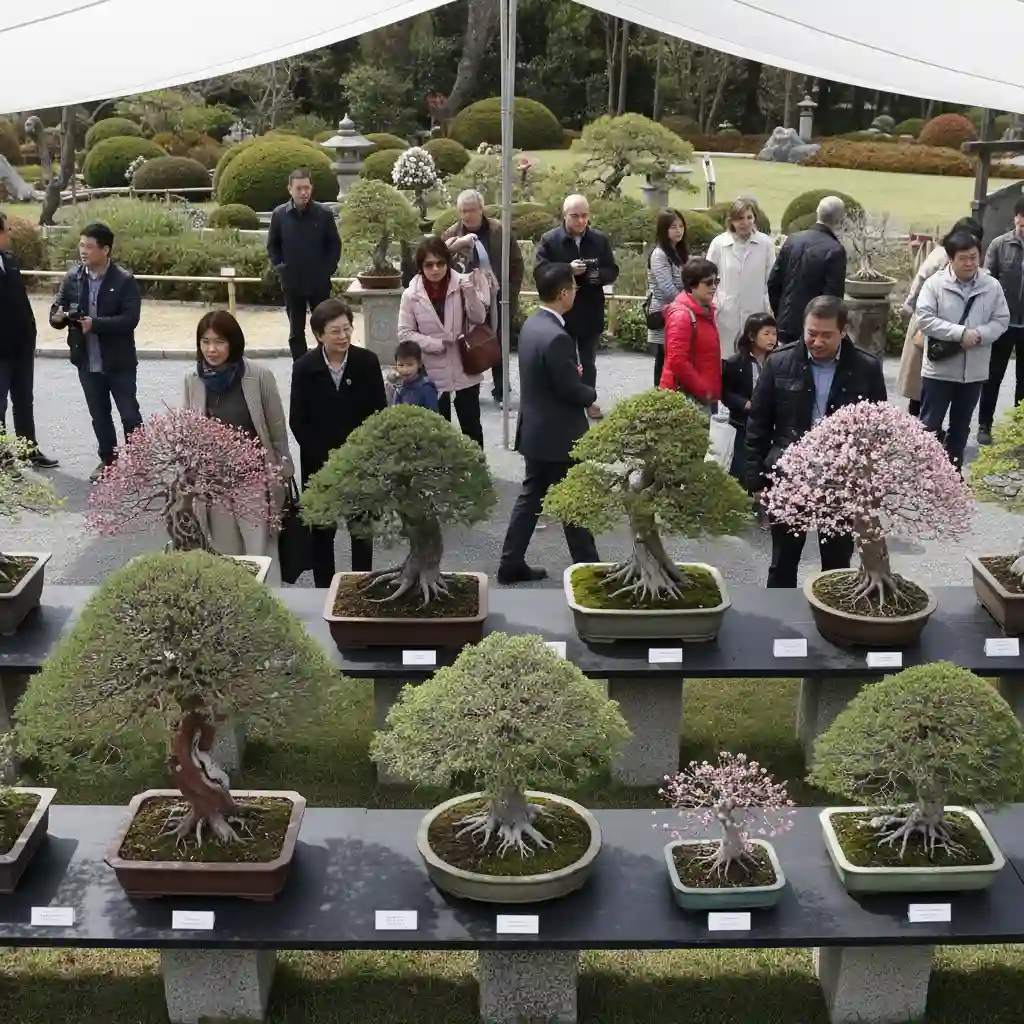 Finding Local Bonsai Clubs and Societies - An overhead shot of