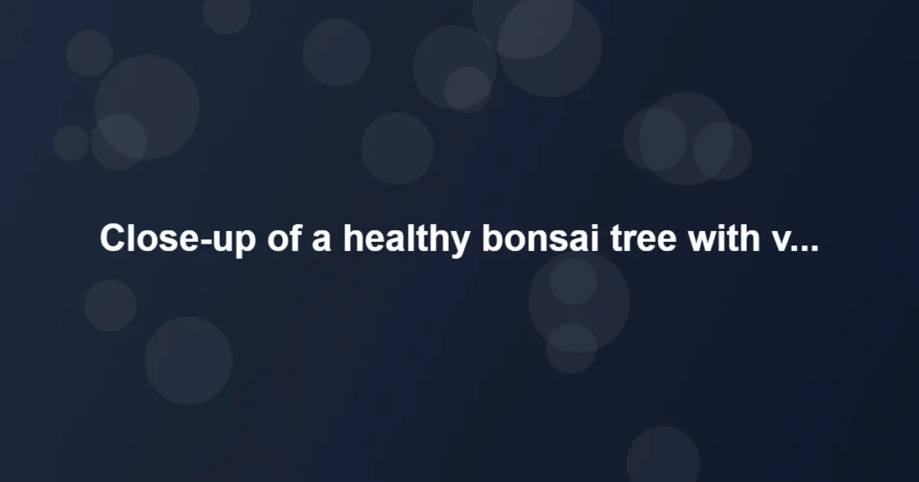 Healthy bonsai tree foliage